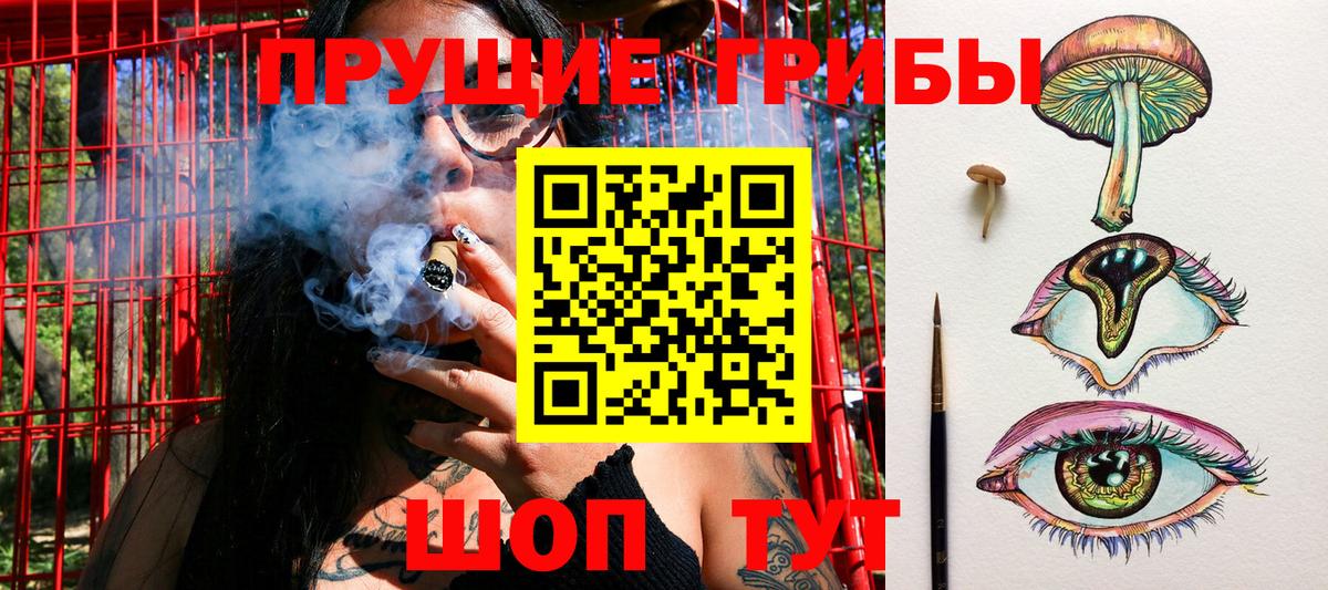 Псилоцибиновые грибы Cubensis  Галлюциногенные грибы мухоморы  Вход с VPN  Санкт-Петербург 